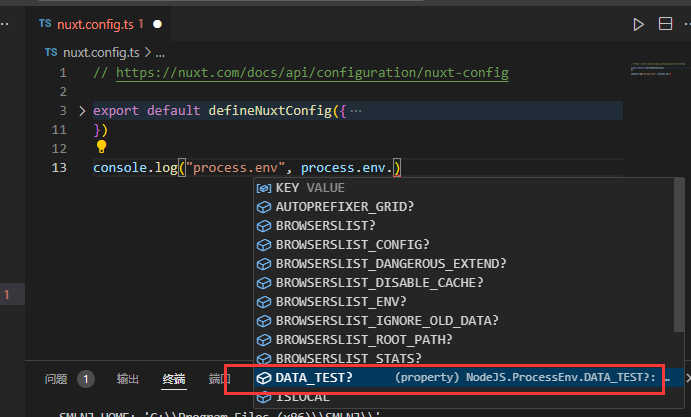 vscode nuxt env示例图2